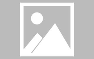 广水网页设计师周记（网页设计周记26篇300字）