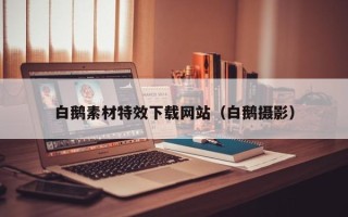广水白鹅素材特效下载网站（白鹅摄影）
